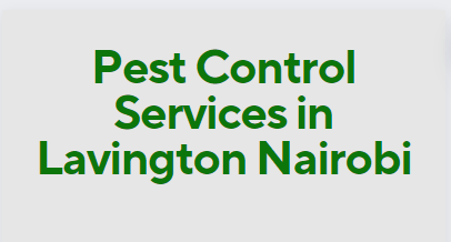 fumigation service cost in Lavington, fumigation cost in Lavington, fumigation prices in Lavington, fumigation price in nairobi, pest control charges in Lavington, pest control cost in Lavington, bees control services in Lavington, bed bugs control services in Lavington, termite control services in Lavington, cockroach control services in Lavington, pest control cost in Lavington fumigation charge in mombasa, bees removal service near me Lavington, bees removal service in Lavington, bees removal service chemical, bees removal chemical, termite control pesticide Lavington, termite control insecticide, best chemical for bed bugs in Lavington, best insecticide for bed bugs in Lavington, pest control services near me, bed bugs control services near me. pest control services in meru,fumigation services in Lavington,pest control Lavington, bed bugs in Lavington, bed bugs in Lavington town, fumigation of bed bugs in Lavington, eliminating bed bugs in Lavington, pest control in Lavington town, we are the solution for fumigation services in Lavington, we cover bed bugs, and snakes, Pest control companies in Lavington, Best pest control services in Lavington, Pest removal services in Lavington, Professional pest control in Lavington, Affordable pest control services in Lavington, Residential pest control in Lavington, Commercial pest control in Lavington, Emergency pest control in Lavington, Rodent control in Lavington, Termite control in Lavington, Bed bug treatment in Lavington, Cockroach control in Lavington, Flea and tick treatment in Lavington, Mosquito control services in Lavington, Integrated pest management in Lavington, Eco-friendly pest control in Lavington, Local pest control services Lavington, Pest inspection services in Lavington, Pest extermination in Lavington, Pest prevention services in Lavington, Ecofumitech pest control services in Nairobi Kenya